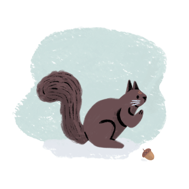 A squirrel with an acorn